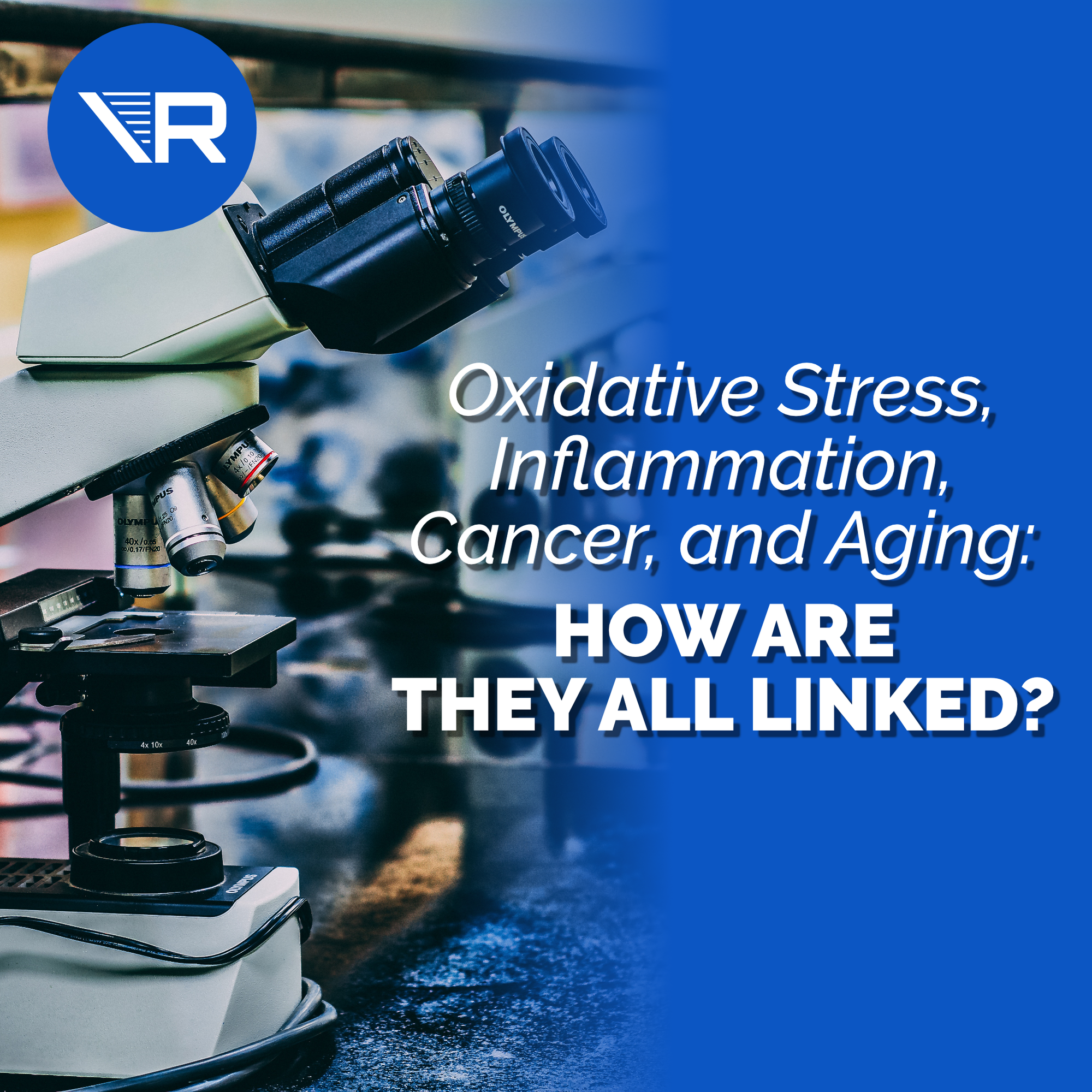 Oxidative stress and inflammation, cancer, and aging