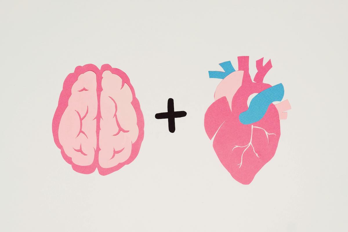 Molecular Hydrogen Benefits for Heart and Brain Health